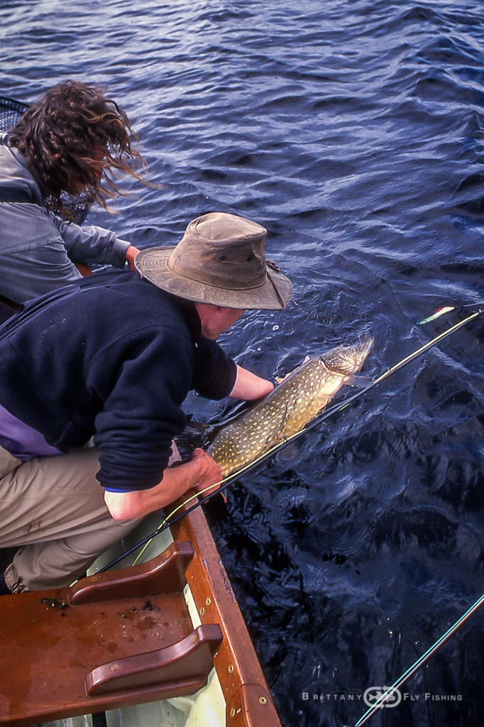 Guided Fly Fishing for Pike
